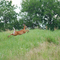 Island Preserve - The Genesee Valley Conservancy