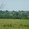 Ralston_06-22-2008_P1020888_Crop Duster
