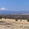 Mt Hood from Kingsley Cemetery