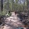 Alapaha River Trail