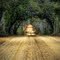 The Dirt Road