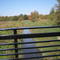 Bridge on Fred Me