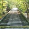 Heartland Trail at Pine River