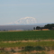 Mt. Adams from the Yakima Valley