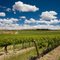 Yakima - Silverlake Winery