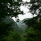 View at Cloudland Canyon by Lauren Lorentzson