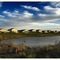 Wildhorse Golf Course in Davis, CA