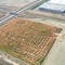 Corn Maze at Woodland, CA