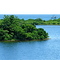 Island, Island Pond