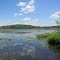 Mud Lake viewed from the lake access site