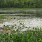 Leeke Lake, the hardest lake to reach