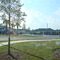 Lacey Oak Drive, Ft. Stewart