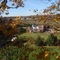 The House from the trees 2