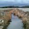 austin creek