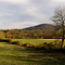 Along Jonestown Road