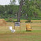 Dunning Rest Stop