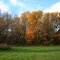 colors of fall