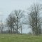 Orewiller Rd Nest