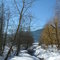 Winter serenity along Sutherland Creek, Christina Lake