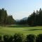 The course