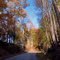Washington Rochanbeau Route, Caroline County, VA
