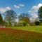 Red Clover, Palestine Farm, Caroline County, VA.