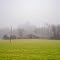 Barn, Field & Fog, Caroline County, VA