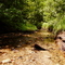 Robinson Creek