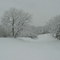 Snow storm in Sunset Oaks 2004.
