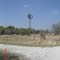 LBJ 5 4/2/2011 Windmill