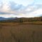 Fall colors near Round Mountain, late august