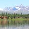 Rainy Pass Lodge