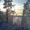 Winter Sun 4