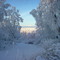 Mount Susitna