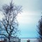 Kincaid Park, By Chase Carlson