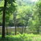 FOURCHE LAFAVE RIVER