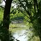 Old Taylor/ Bristow Mill Area, Strawberry River