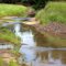 Creek