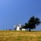 Milk Barn on the Hill