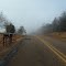 Foggy Morning on Highway 125
