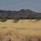 Turkey Creek Road, Chiricahua Mountains, S of Bowie, AZ