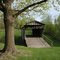 Covered Bridge in Park