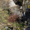 Leicester River Falls, perhaps the ugliest waterfall I've ever shot.