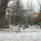 Case Street Cemetery