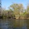 Shiawassee River