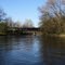 Shiawassee River