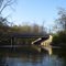 Shiawassee River