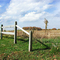 Sauquoit field-01
