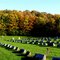 Calvary  cemetery    Utica,  NY