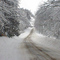 Snow storm - Spring 2004